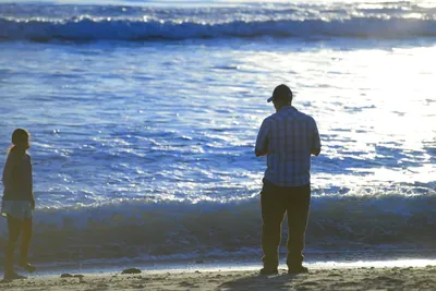 DSC_1230 (Large).JPG